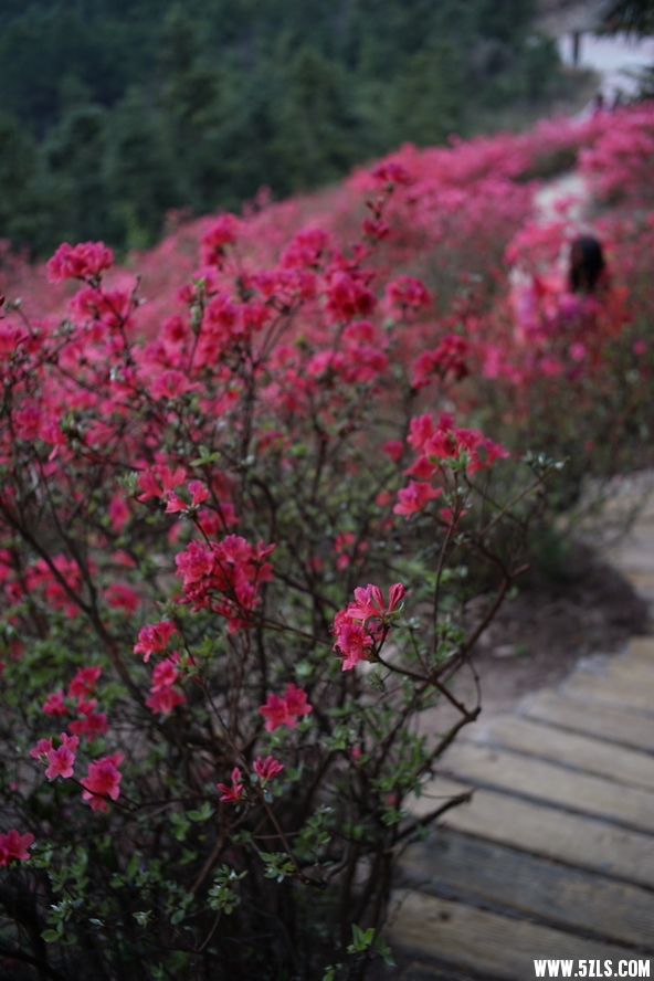 DSC03807.JPG
