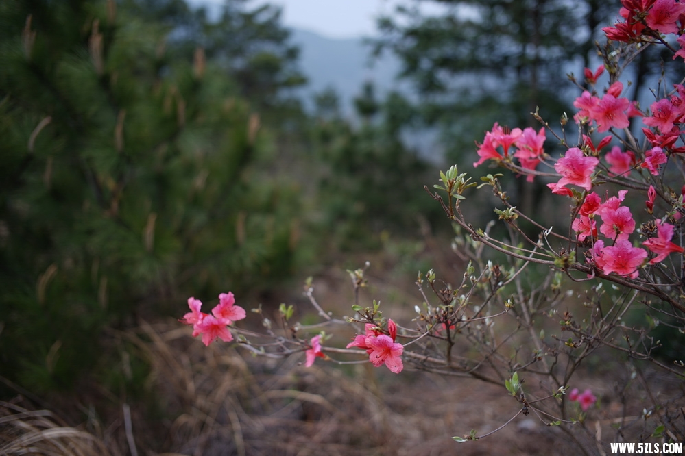 DSC03824.JPG