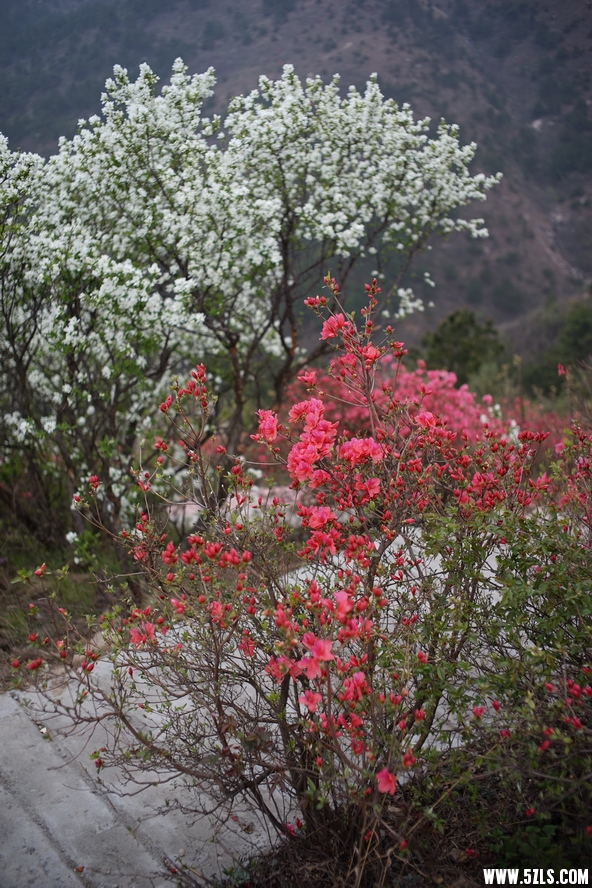 DSC03767.JPG