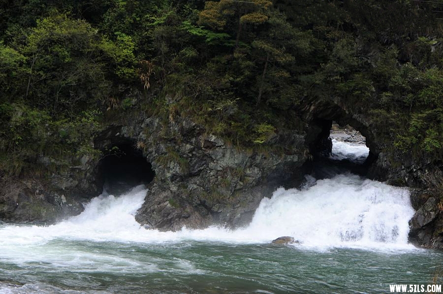 _DSC4508__.jpg
