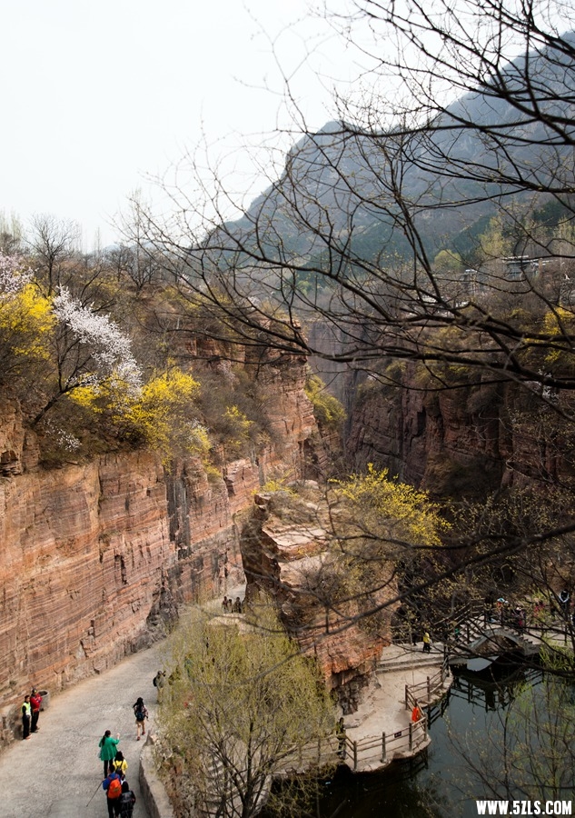 _DSC5983.jpg