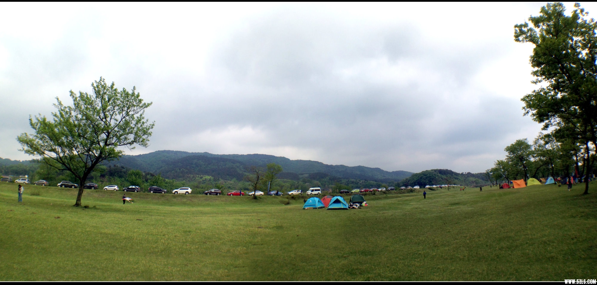 DSC06616z.jpg