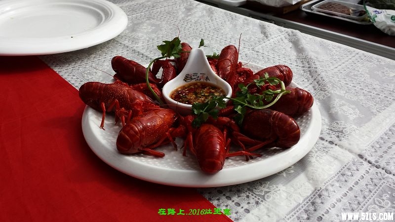 20160416_155918.jpg