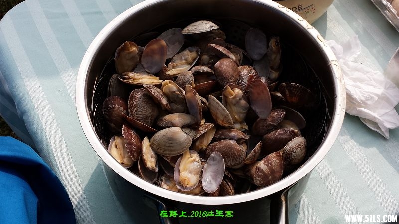 20160416_160349.jpg