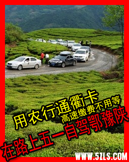 2016һ.png