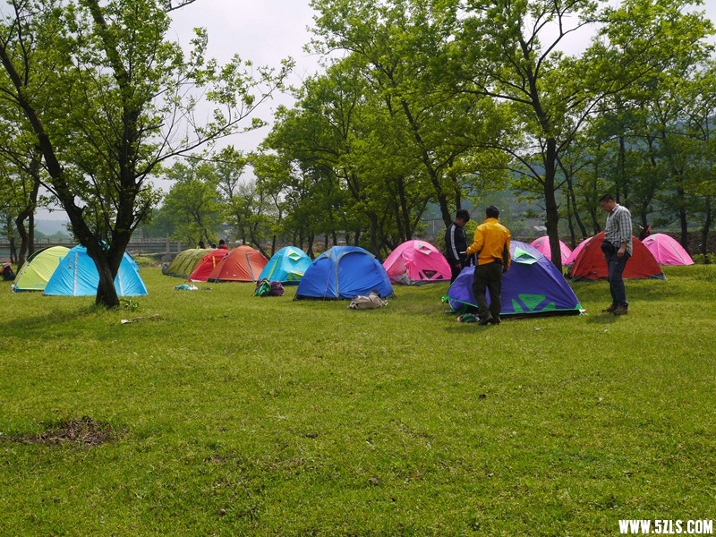 P1260889.jpg
