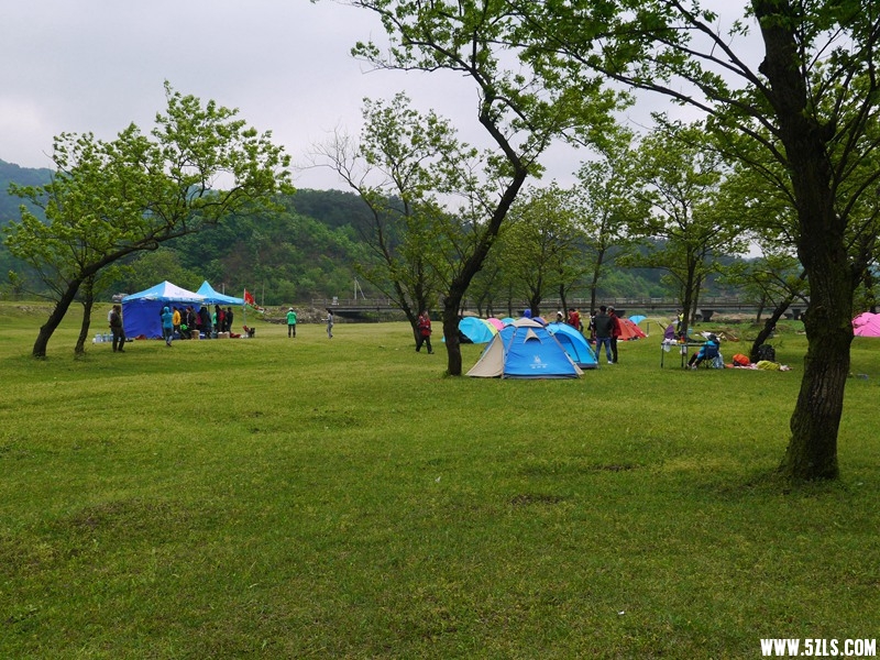 P1260839.jpg
