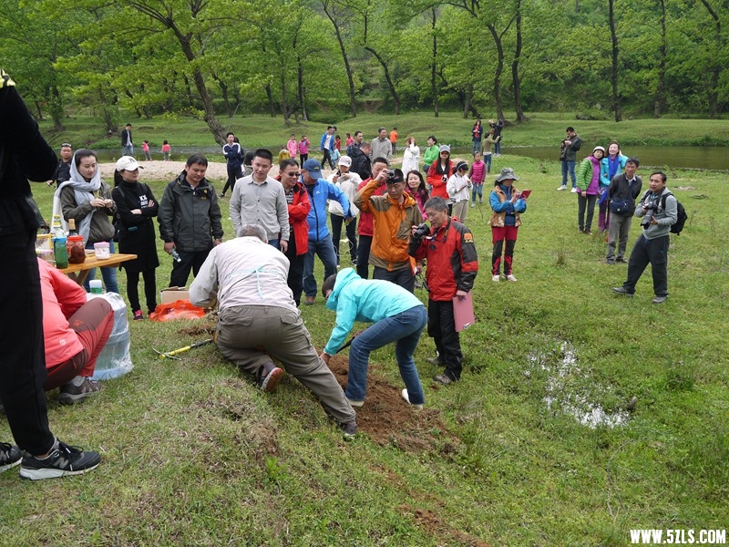 P1260997.jpg