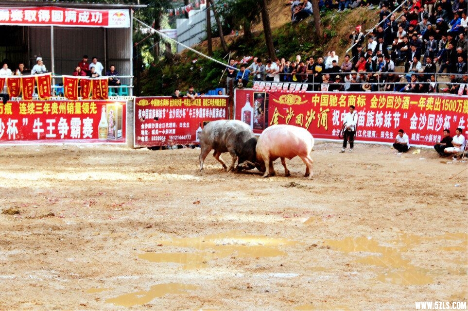 QQͼƬ20160426192358.jpg