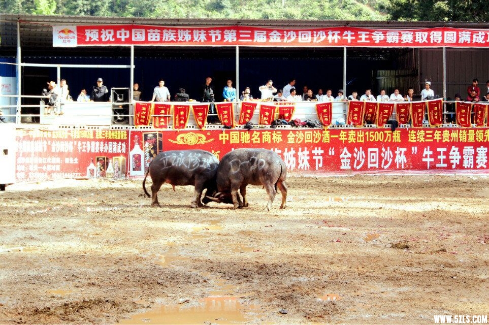 QQͼƬ20160426192402.jpg