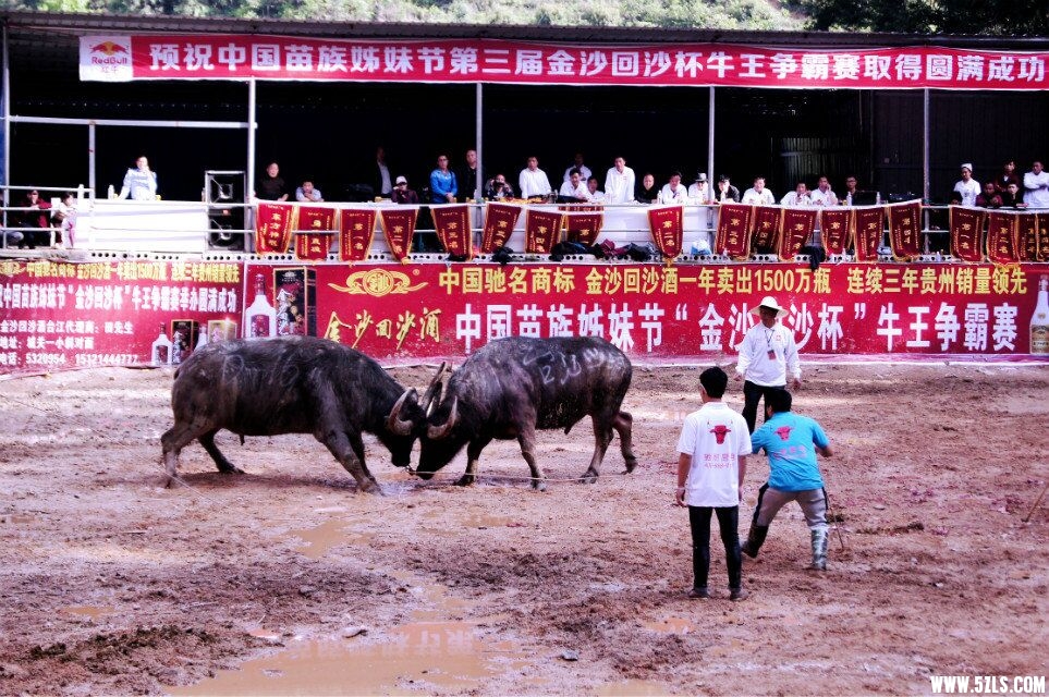 QQͼƬ20160426192417.jpg