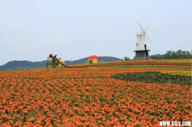 6401.webp.jpg