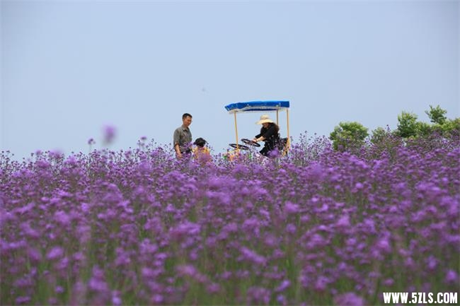2016050418292128.jpg