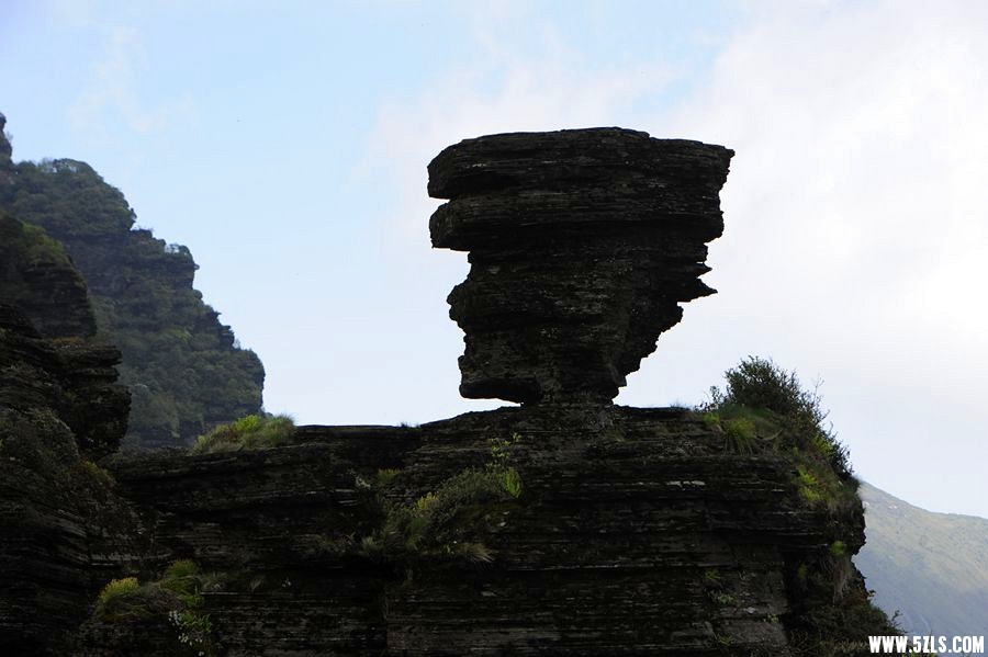 _DSC5596__.jpg