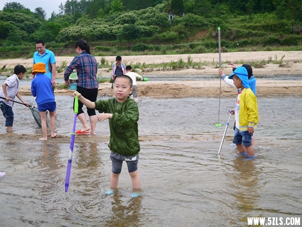 P1270726.jpg