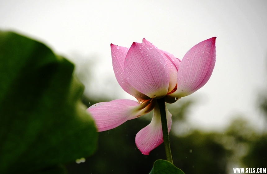 DSC_0917_副本_副本.jpg