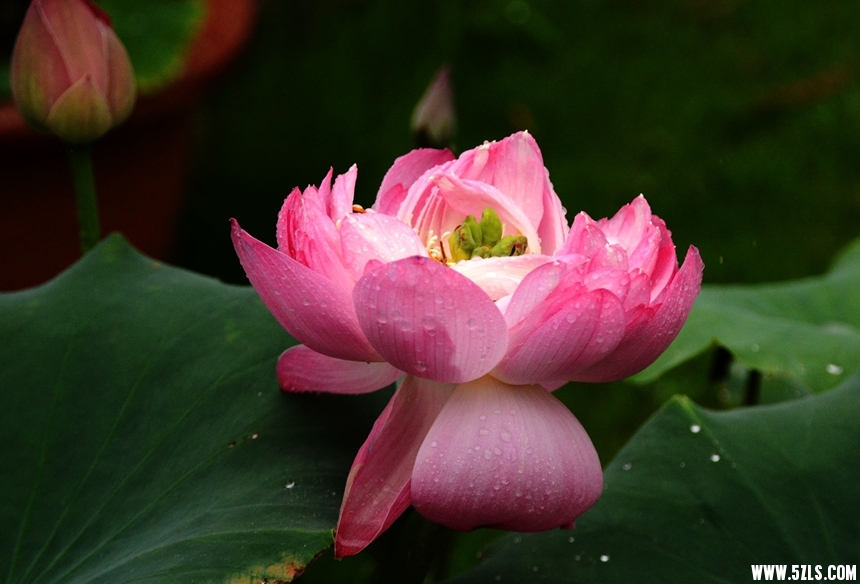 DSC_1037_副本_副本.jpg