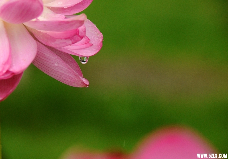 DSC_1103_副本_副本.jpg