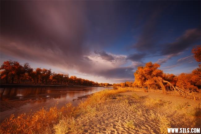 20111204211458_aZmWt.jpg