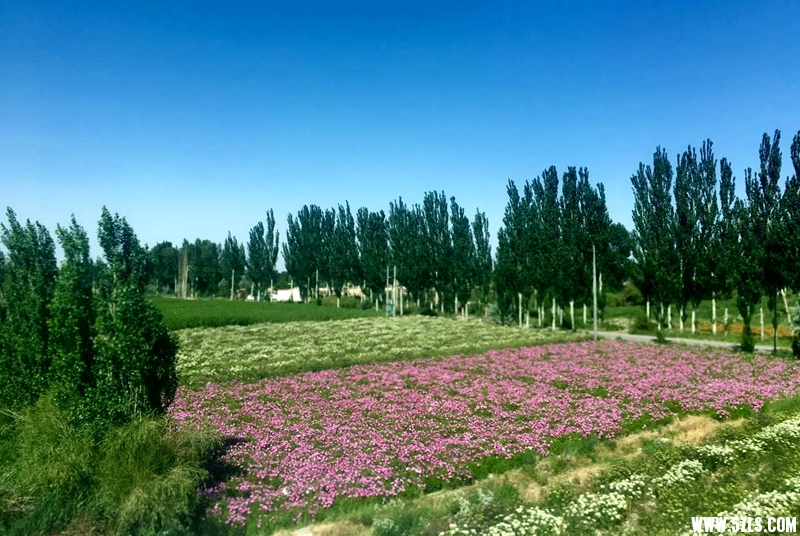 ½ 010.JPG