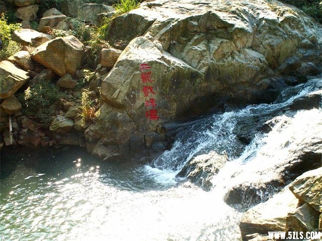 41721067.jpg