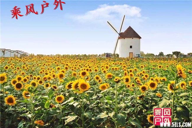 QQͼƬ20160923123530.jpg