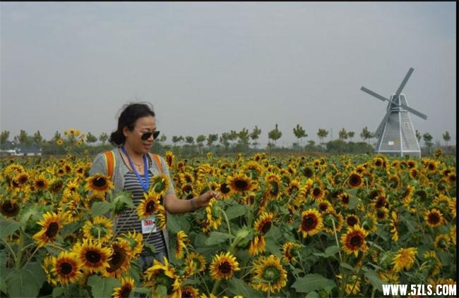 QQͼƬ20160923133128.jpg