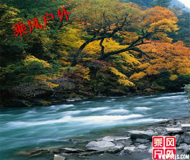 d111d7b5270d4b958410ae2e86ae7e320.jpg