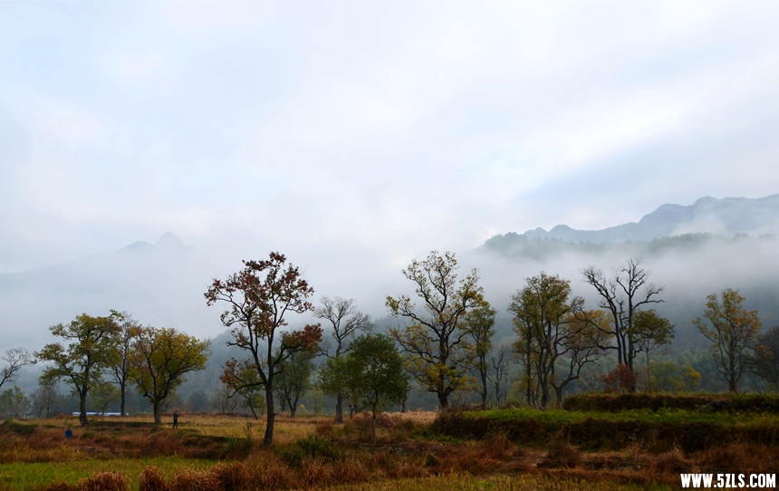 DSC_5020_副本_副本.jpg
