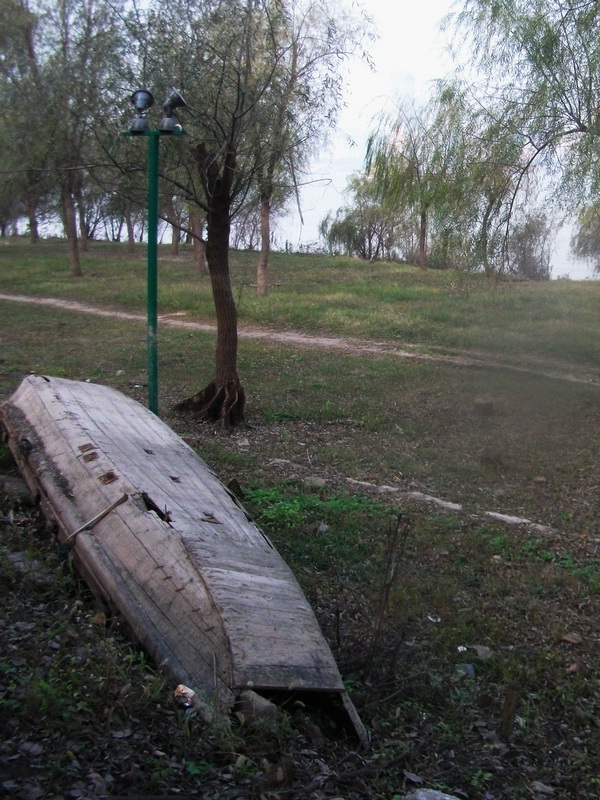 dscf0018.jpg