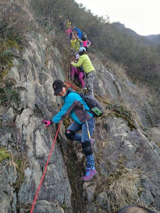 qq图片20170112171306.jpg