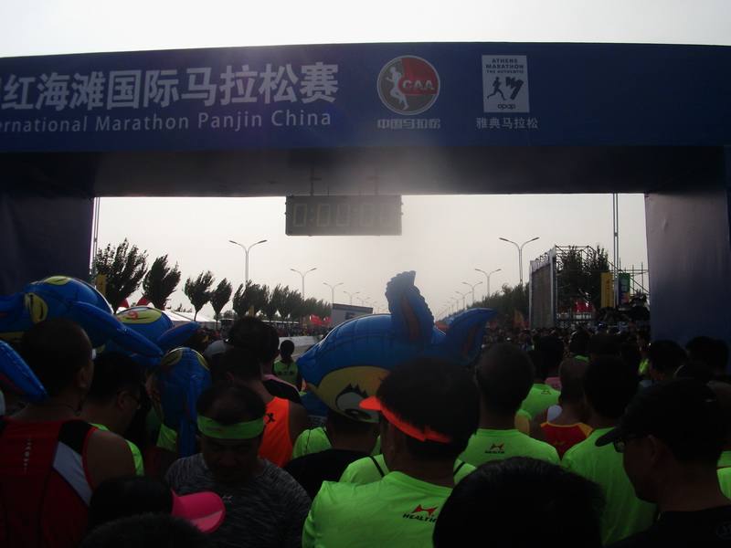 dscf0112.jpg