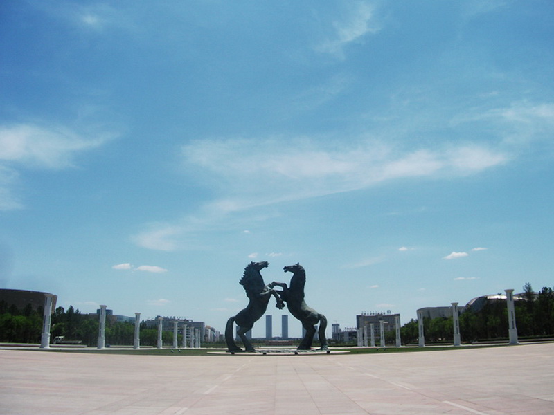 dscf0439.jpg