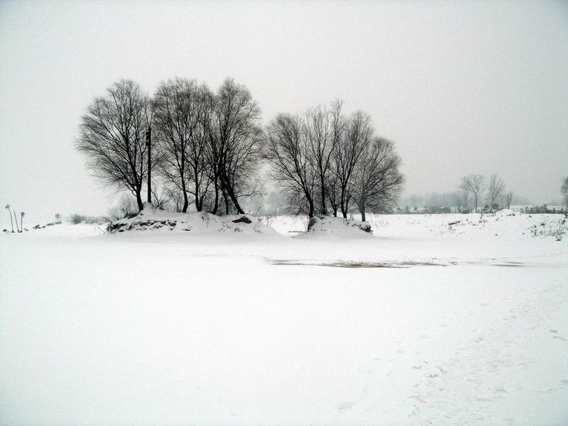 006.jpg