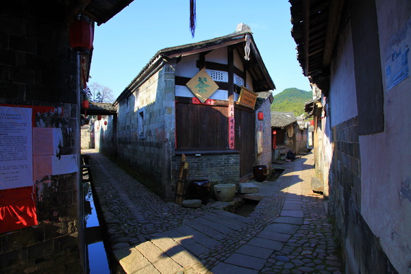 img_5440.jpg