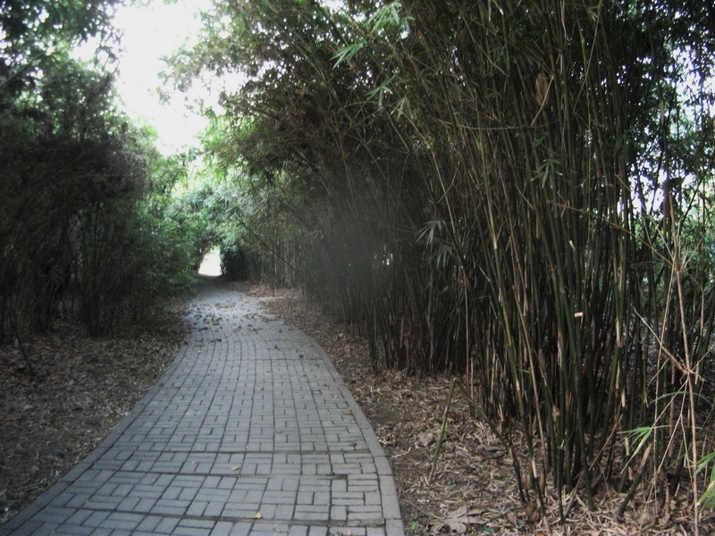 dscf0012.jpg