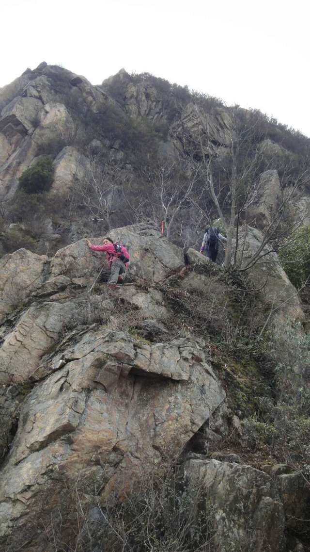 qq图片20170105230713.jpg