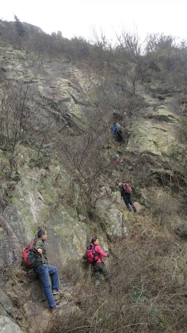 qq图片20170105230722.jpg