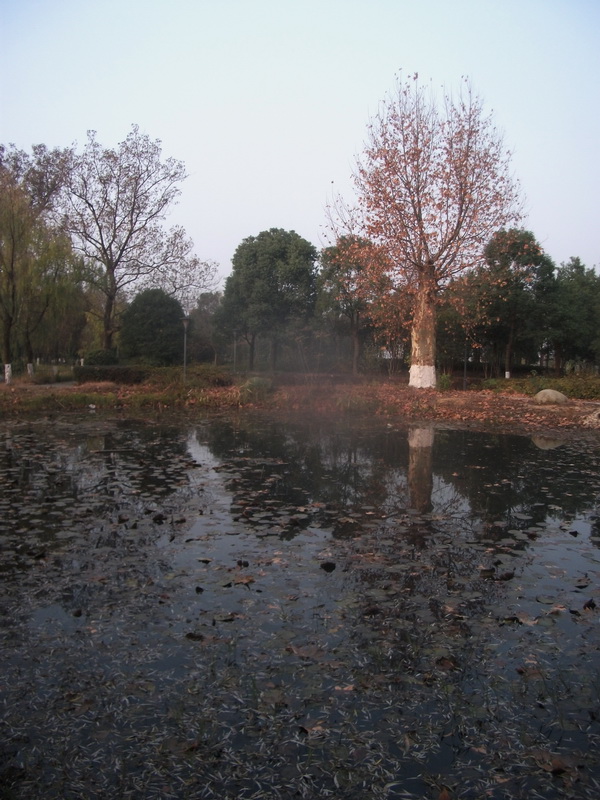 dscf0013.jpg