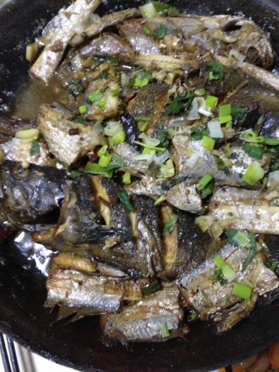 调整大小 img_6505.jpg