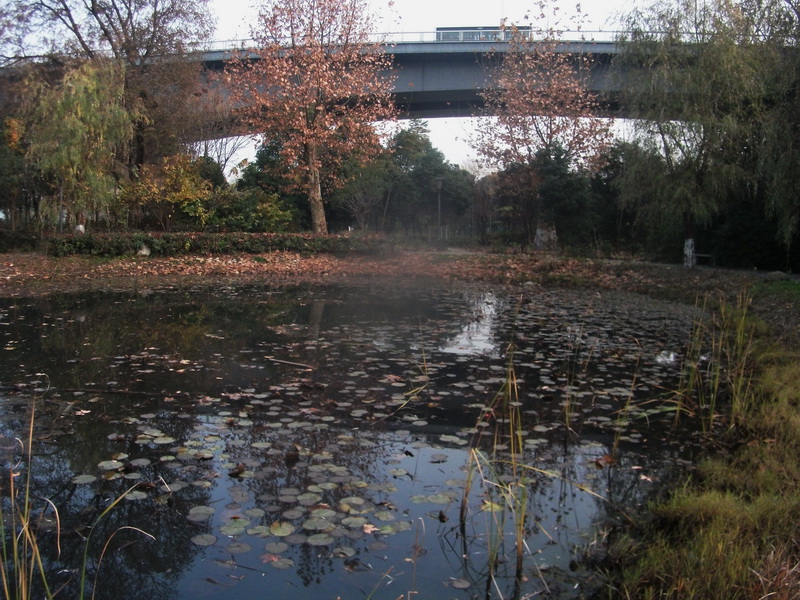dscf0014.jpg