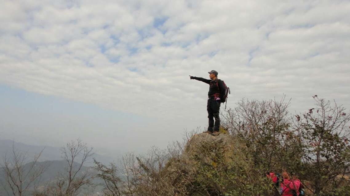 qq图片20170105230831.jpg