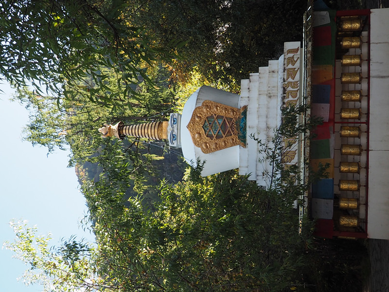pa200691_.jpg