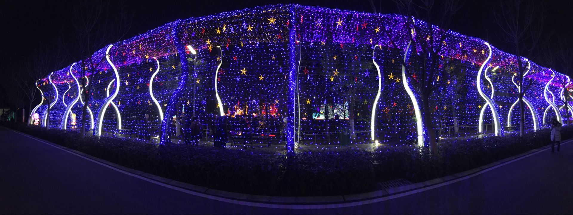 dsc_0272__.jpg