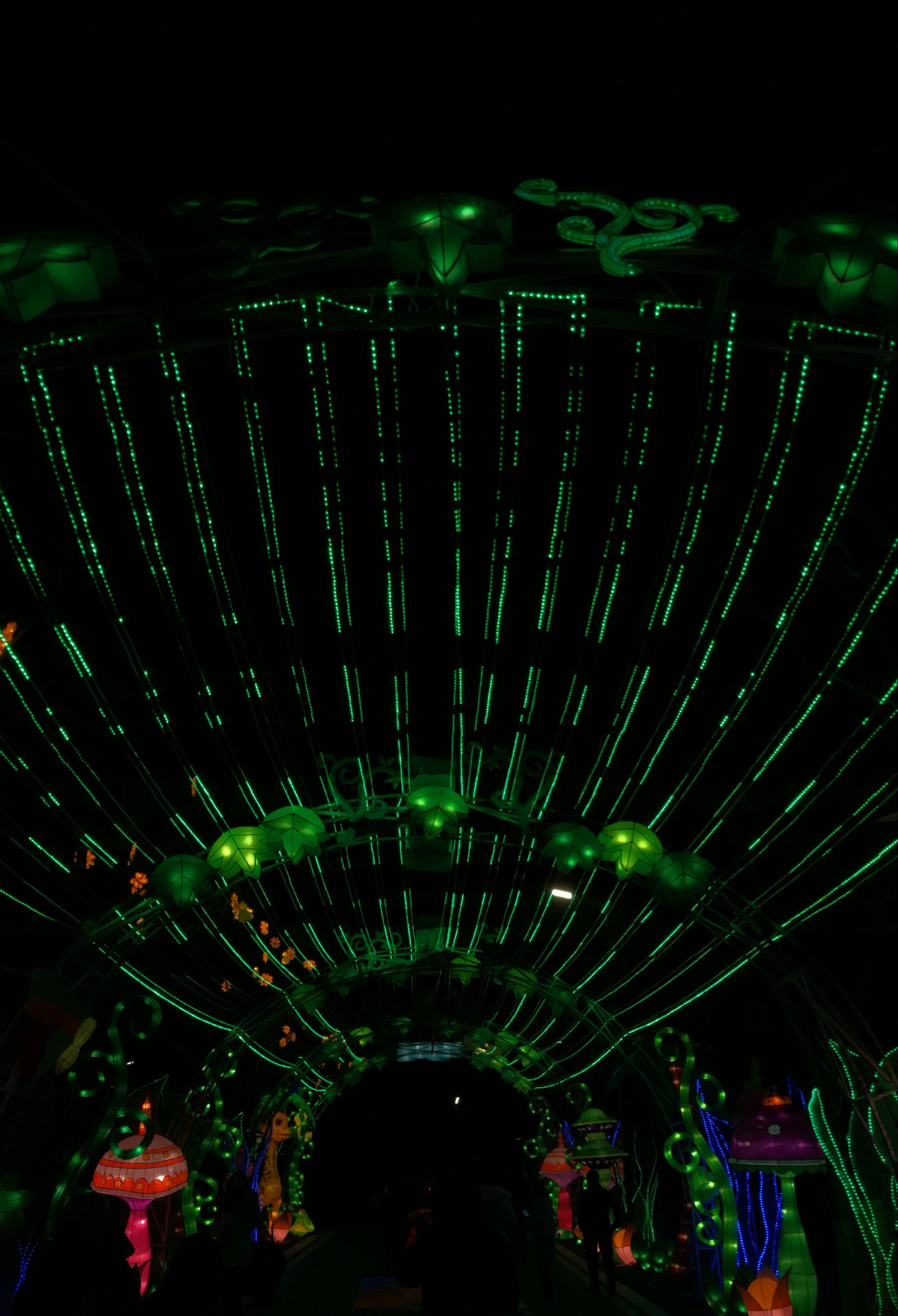 dsc_0290_.jpg