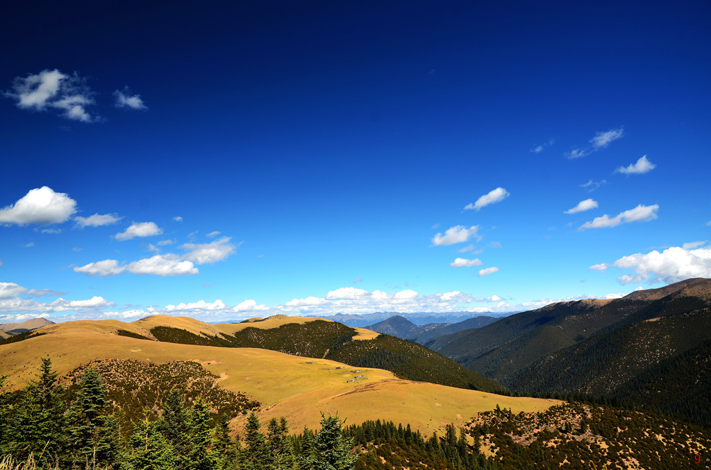 dsc_0949.jpg