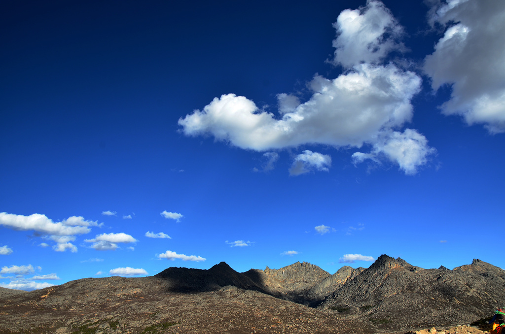 dsc_0981.jpg