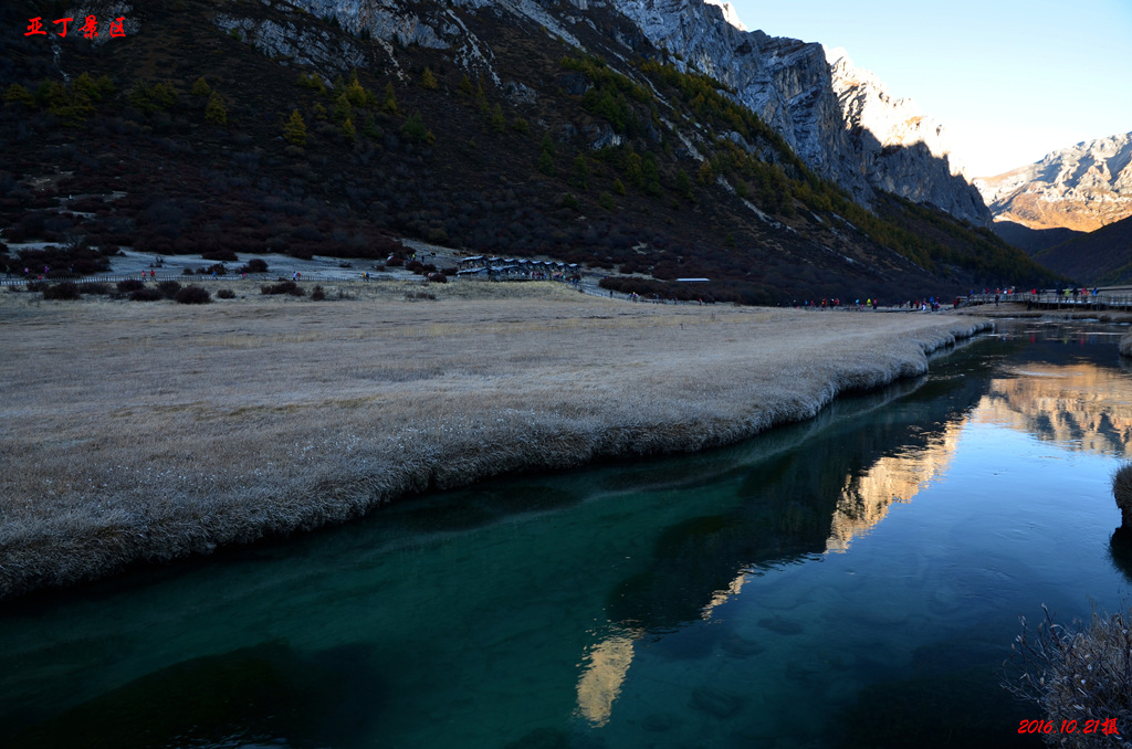 dsc_1456.jpg