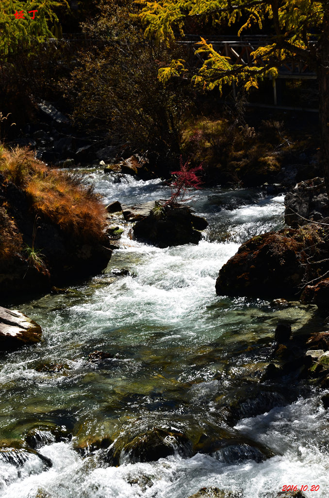 dsc_1079.jpg