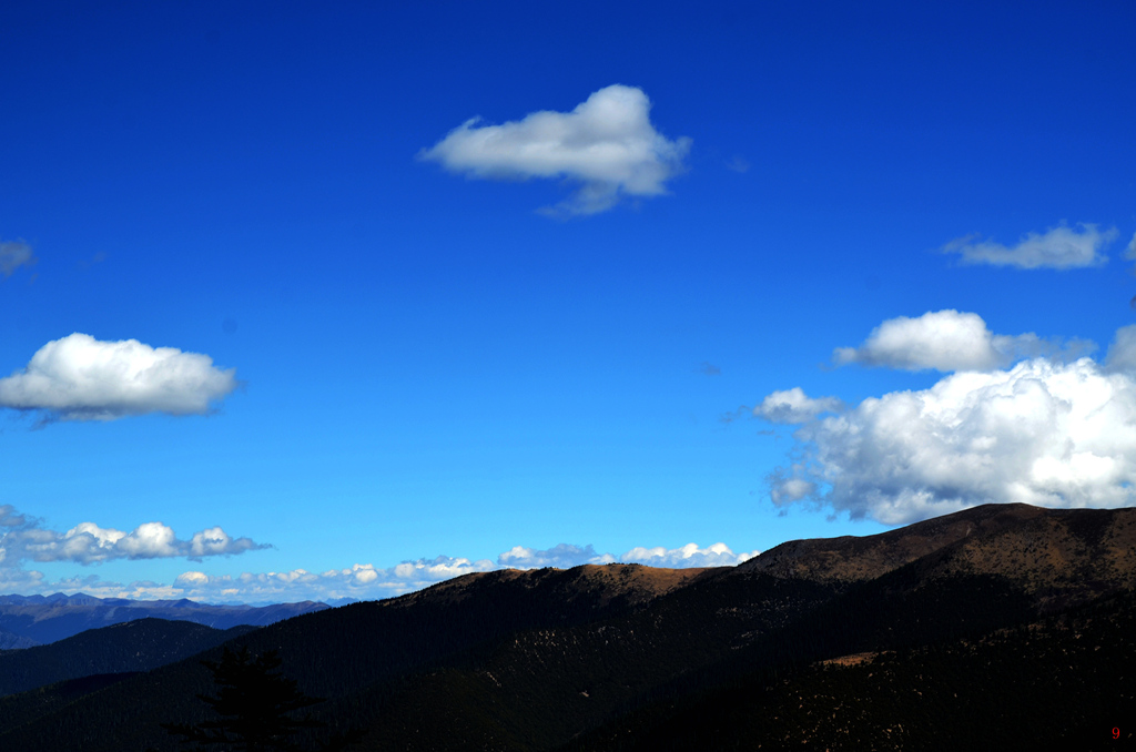 dsc_0937.jpg